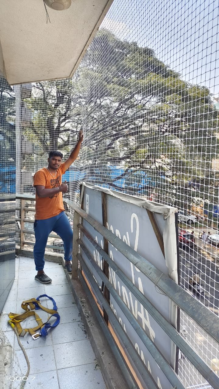 Pigeon netting installation service