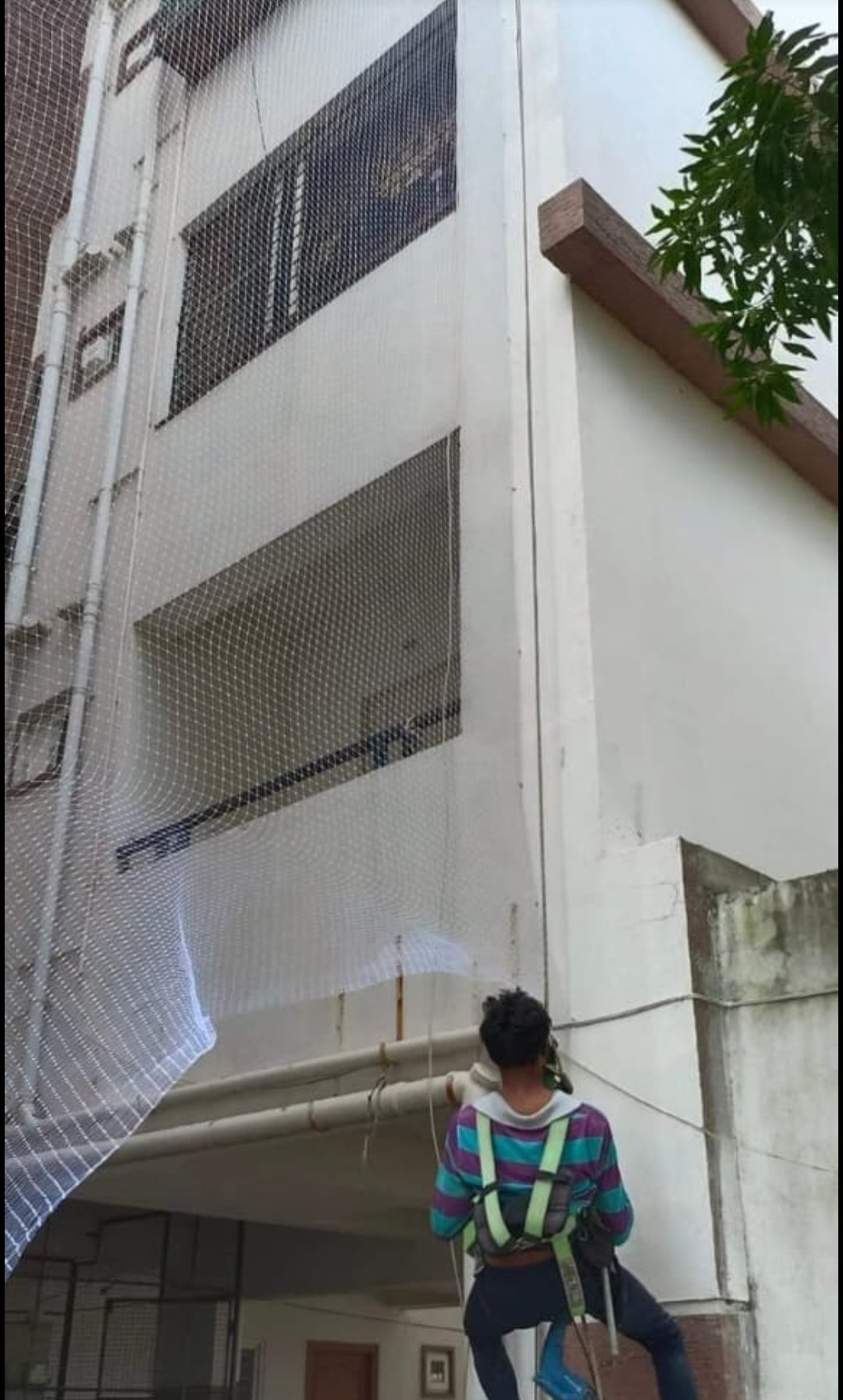 Apartment pigeon nets