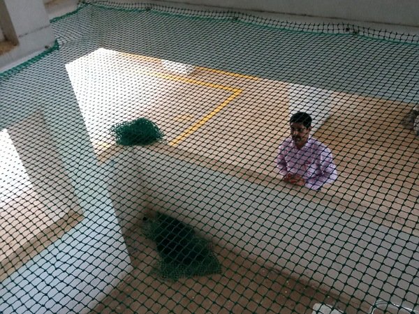 Bird net installation Chennai