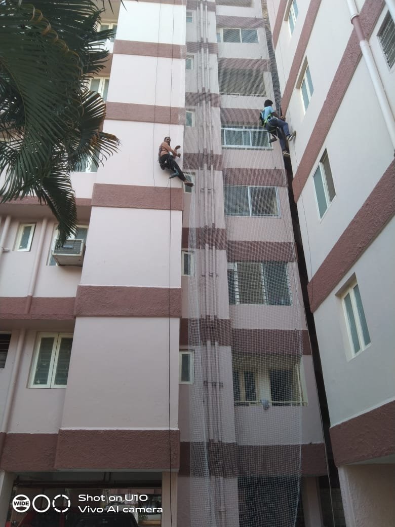 Apartment duct bird nets