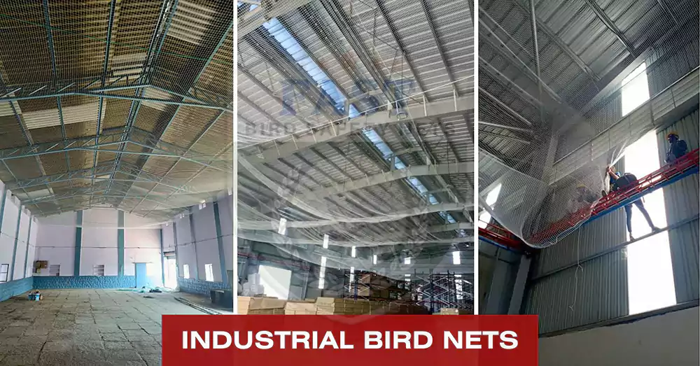 Warehouse bird nets