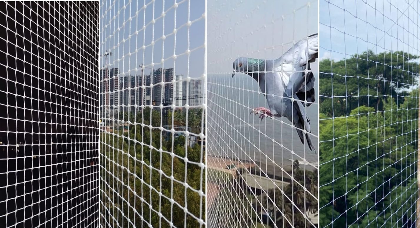 Pigeon nets near me installation service